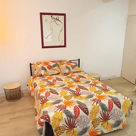 Lumineux Climatise Apartment Montpellier